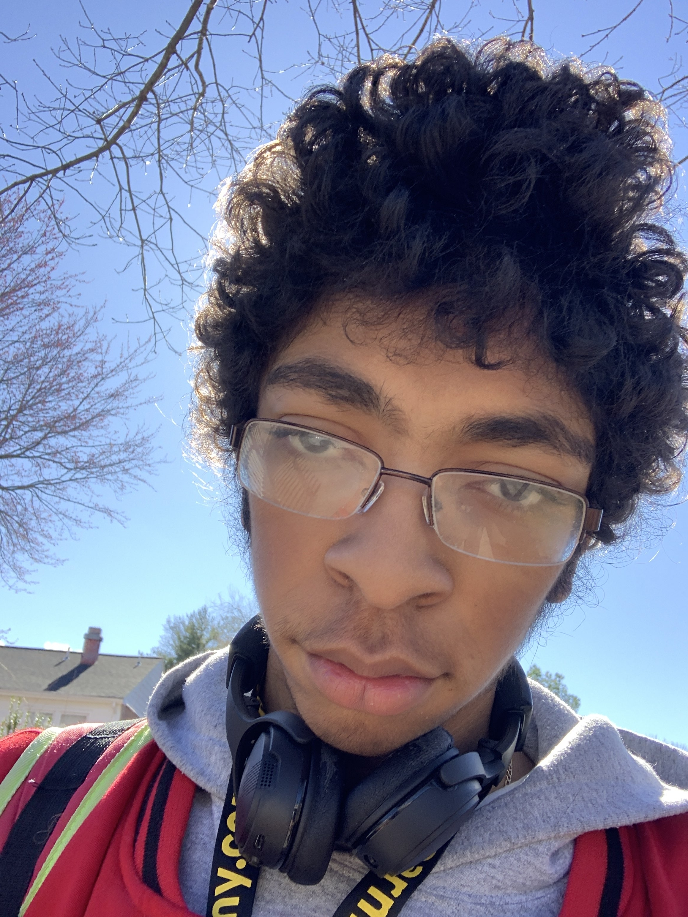 Antonio Tony Green, Web Developer